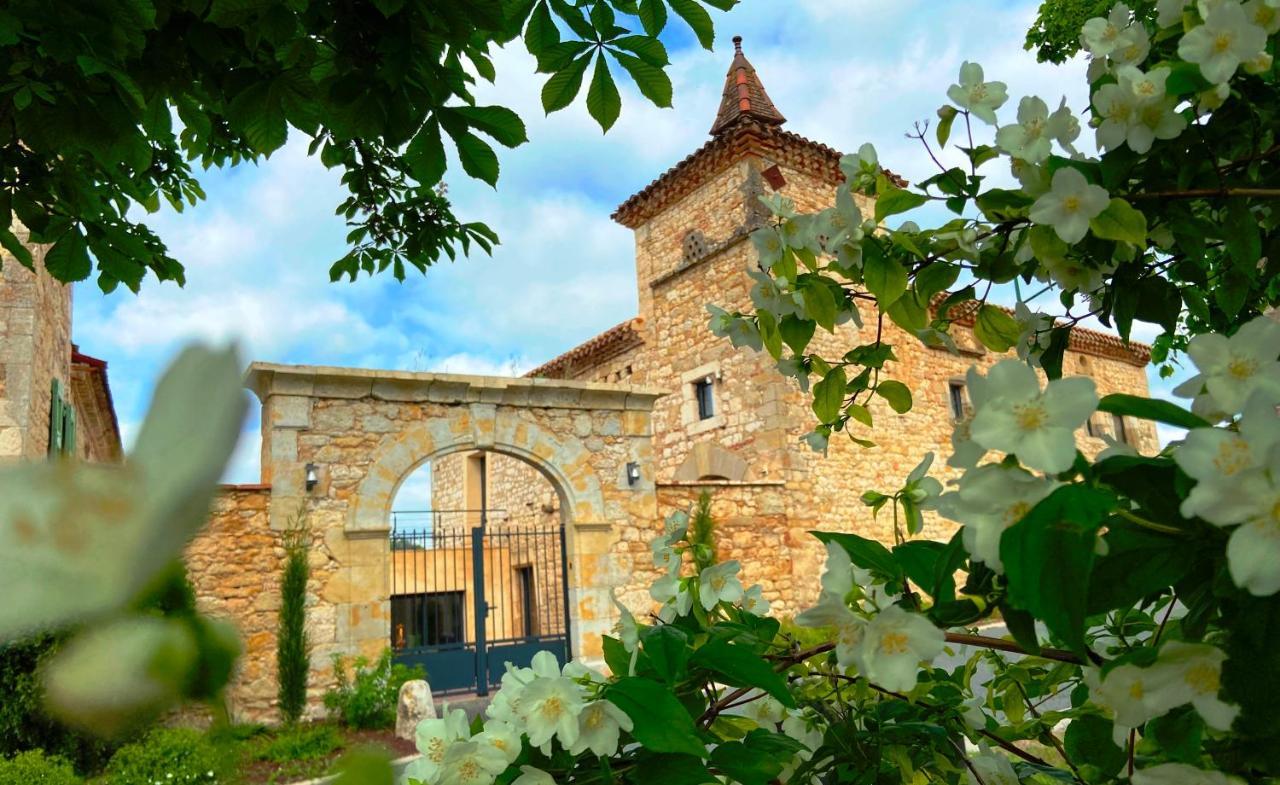 Domaine De Lejos - Portes D'Albi Lamillarié Εξωτερικό φωτογραφία